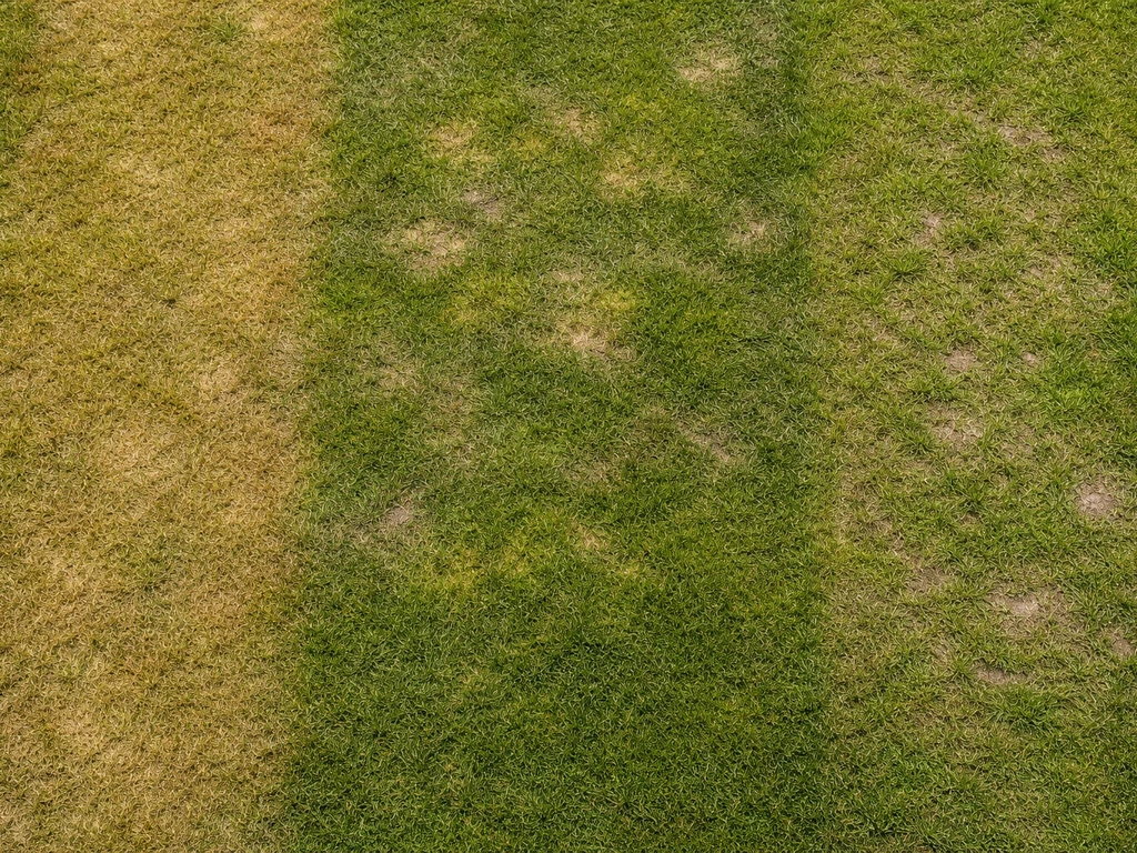 Bovenaanzicht van een gazon met drie duidelijke zones: geel/bruin, vlekken en dun gras, voor snelle diagnose.