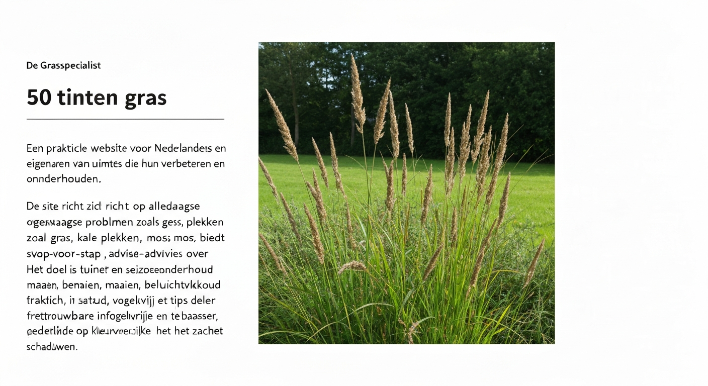Nederlands gazon met verschillende tinten groen, gele droogtevlekken en mosplekken, ochtendlicht, geen mensen