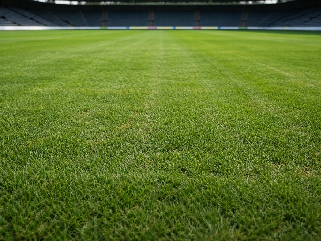 Hersteld voetbalveld-gazon met dicht, gelijkmatig groen en subtiele beluchtingssporen, geen mensen in beeld.